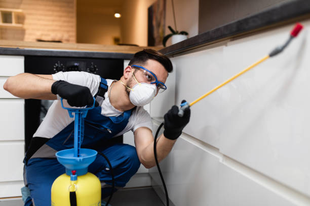 Best Termite Control Services  in Soh Willard, UT