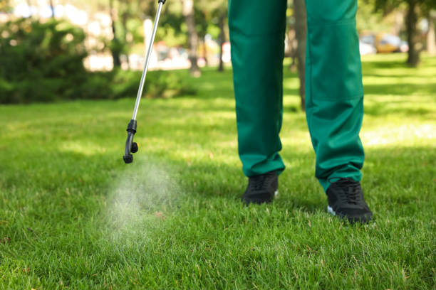 Trusted South Willard, UT Pest Control Experts