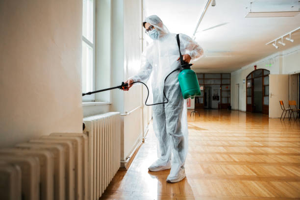 Best Exterminator Services  in Soh Willard, UT
